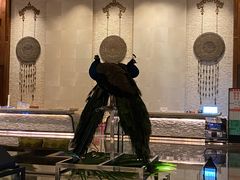 -西双版纳融创皇冠假日度假酒店