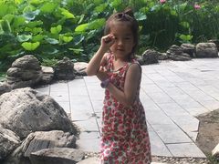 -莲湖公园