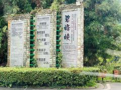 -中国大熊猫保护研究中心雅安碧峰峡基地