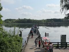 -溱湖国家湿地公园