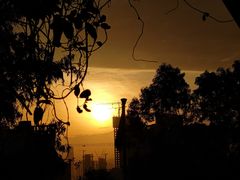 -深圳国际园林花卉博览园