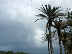 -鹅銮鼻公园