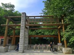-牛背梁国家森林公园