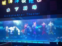 -泉城欧乐堡海洋极地世界