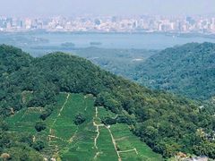 -婺源风景区