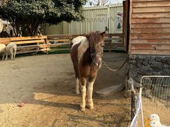 -HERRE·FARM 赫尔露营农场·团建聚会包场