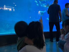-烟台海昌鲸鲨海洋公园