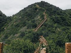 -大岭沟猕猴桃谷风景区