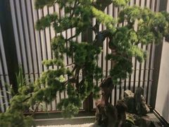-溪畔•新徽菜(碧湖云溪店)
