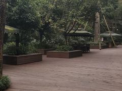 -青城道汤池