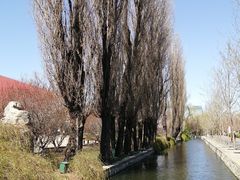 景点-北京动物园