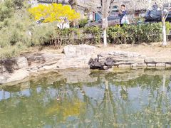 -三里河公园