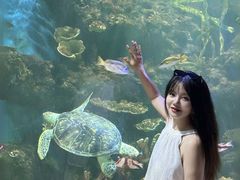 -华夏文旅海洋公园