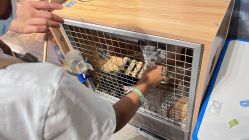 -酷嗒动物文化乐园(cutezoo西溪乐天城店)