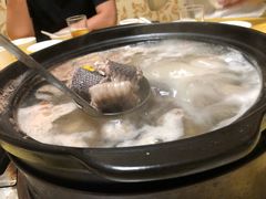 中榕蛇-荔城生鲜盛宴(番禺旗舰店)