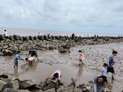 -南汇嘴观海公园