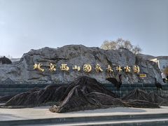 -北京西山国家森林公园