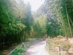 -荆川公园