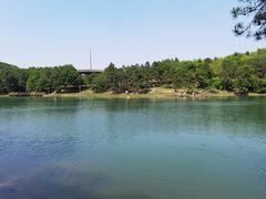 -南京市无想山景区