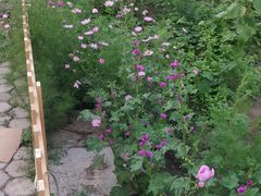 -诺敏塔拉奶茶-布里亚特包子-手把肉(锦都会店)