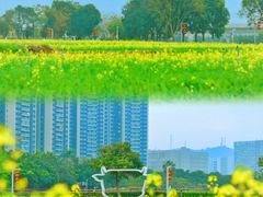 -光明小镇欢乐田园