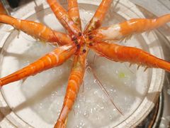 -丰尔粥食·粥底火锅·桑拿鸡(大良总店)