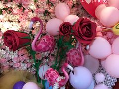 -pink baby·新晋网红打卡地
