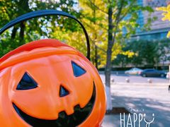 -Olé精品超市(沈阳万象城店)