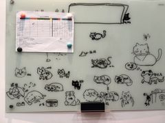 -四月宠物医院·猫专科·心脏专科·内科(转塘店)