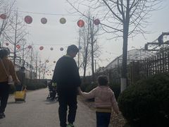 -菊园百果园