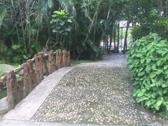 -揭东万竹园旅游景区