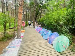 -帽儿山国家森林公园