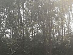 -宝界山林公园