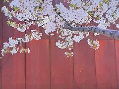 -龙美术馆(西岸馆)