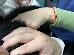 -严国平动物医院(德政总院)