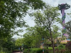 -美的鹭湖探索王国