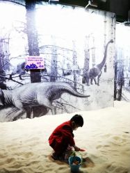 -恐龙探索乐园(磁器口店)