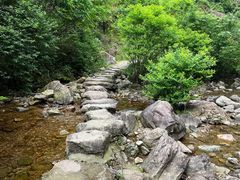 -东白山