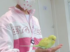 -怪兽屋·羊驼·猫咖·狗咖(俊华广场店)