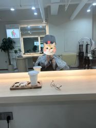 -ASA HAIR SALON