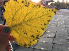 -辽宁大学(崇山校区)