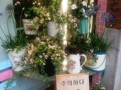-韩热集市(百源店)