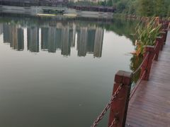 -重庆彩云湖湿地公园