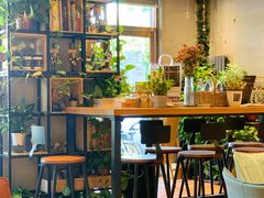 -ZING COFFEE 镜咖啡