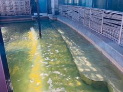 -春晖园度假酒店温泉