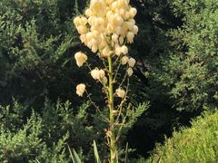 -朝阳公园游乐园