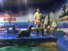 -重庆欢乐海底世界
