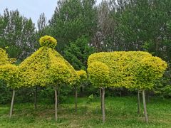 -长春公园(普阳街道)