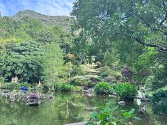 -深圳仙湖植物园