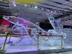 -宁波冰雪大世界(北仑区)